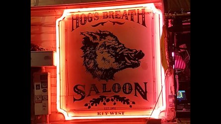 Hogs Breath Saloon Bar