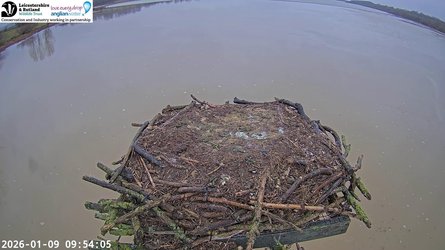Lrwt Rutland Osprey Nest - Rutland
