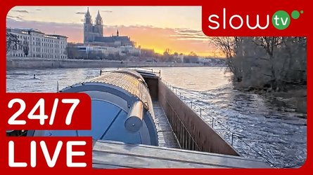 Elbe River Rio Boat