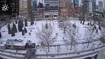 Central Memorial Park