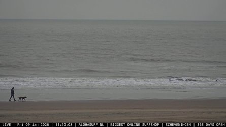 Scheveningen Alohasurf Inntelhotel