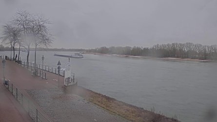 Rhine River Rees