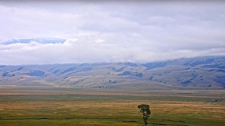 National Elk Refuge