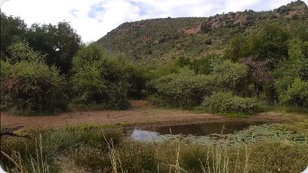 Pilanesberg National Park