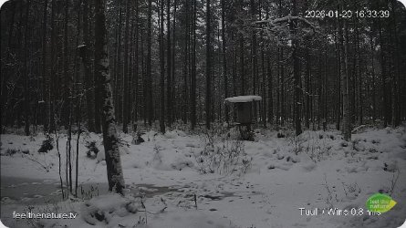Espoo Nuuksio Lake Highlands Animal Feeder