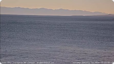 Ross Bay