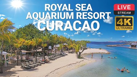 Royalseaaquariumresort - Willemstad - Curacao