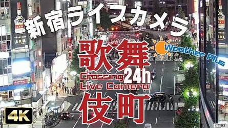 Kabukicho Crossing