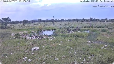 Kambaku Wildlife Reserve - Namibia
