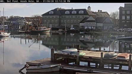 Eel Pond Falmouth